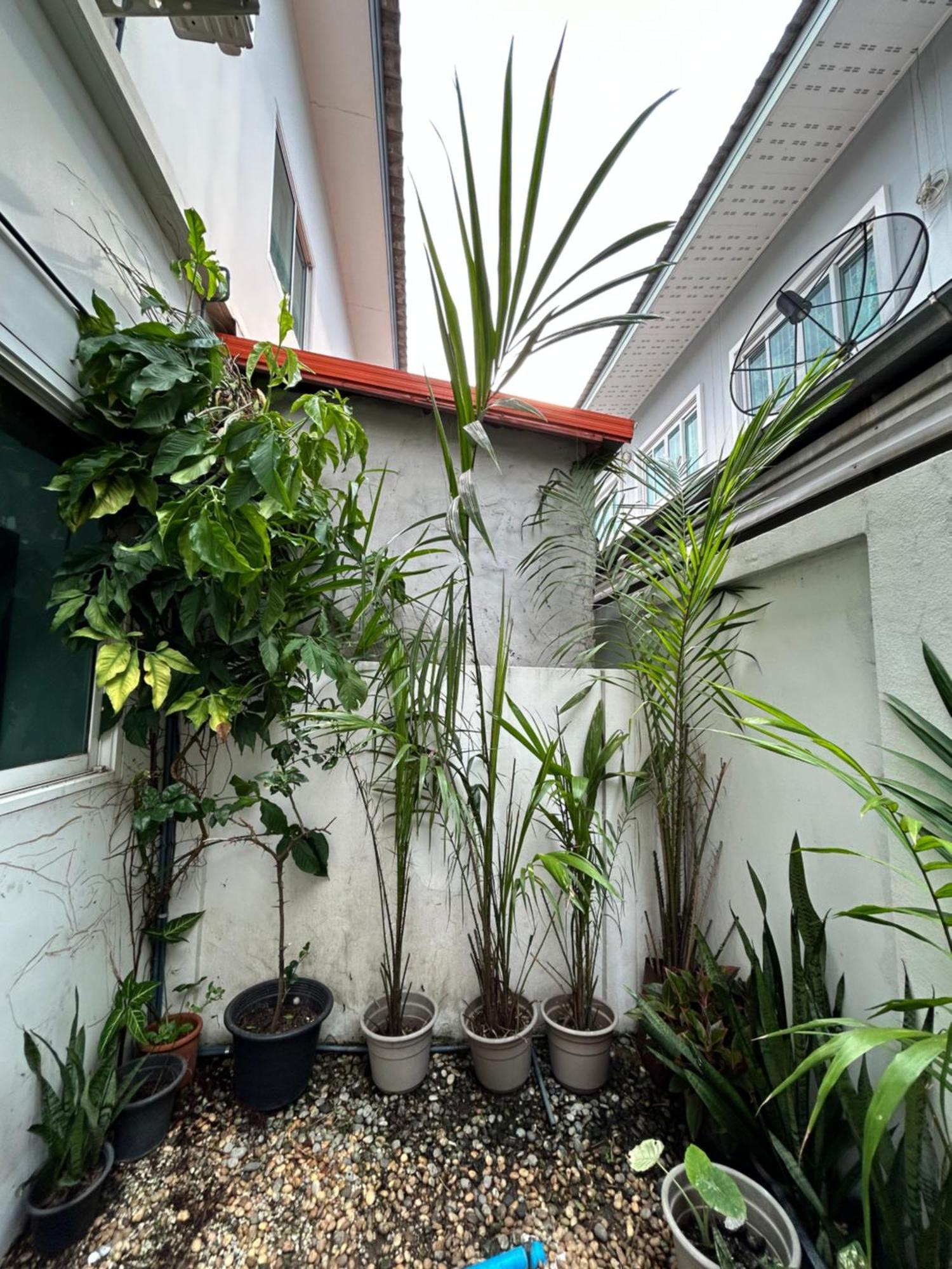 ไนซ์สเตย์ เฮาส์ แอทคลองสาม รังสิต คลองหลวง ปทุมธานี Nice Stay House At Khlong Sam - Rangsit - Khlong Luang - Phathumthani Zewnętrze zdjęcie